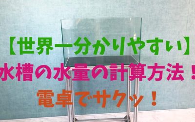 【世界一分かりやすい】水槽の水量の計算方法！電卓でサクッ！