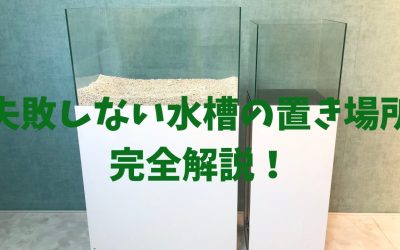 【プロ直伝】失敗しない水槽の置き場所・置き方の教科書！