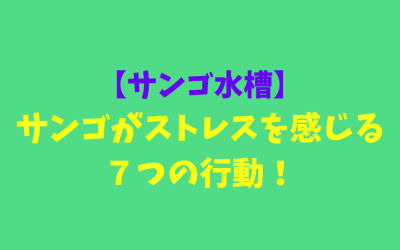 【サンゴ海水水槽】サンゴがストレスを感じる７つの行動！