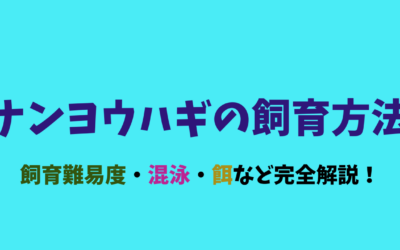 【ナンヨウハギ飼育方法】ドリーを水槽で見たい！