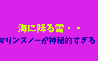 【まとめ】海に降る雪・・マリンスノーが神秘的すぎる！