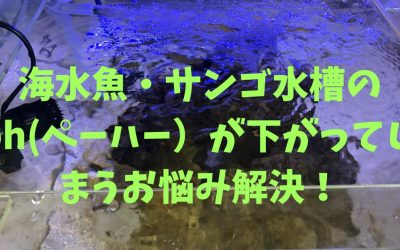 海水魚・サンゴ水槽のph(ペーハー）が下がってしまうお悩み解決！