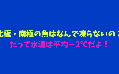 北極・南極の魚はなんで凍らないの？だって水温は平均－2℃だよ！