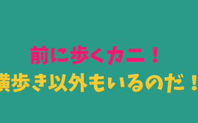 【完全版】前に歩くカニ！横歩き以外もいるのだ！