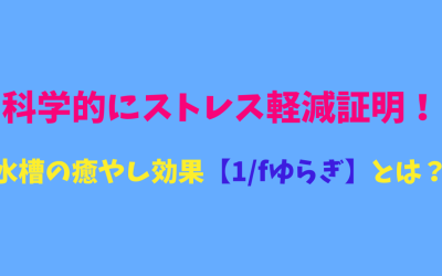 科学的にストレス軽減証明！水槽の癒やし効果【1/fゆらぎ】とは？