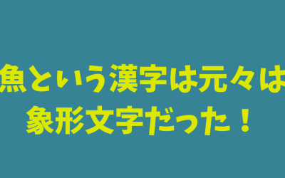 【完全版】魚という漢字は元々象形文字だった！