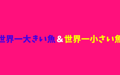 【完全版】世界一大きい魚＆世界一小さい魚