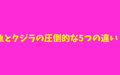 【超わかりやすい】魚とクジラの圧倒的な5つの違い！