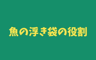 魚の【浮き袋】の役割をわかりやすくご説明！