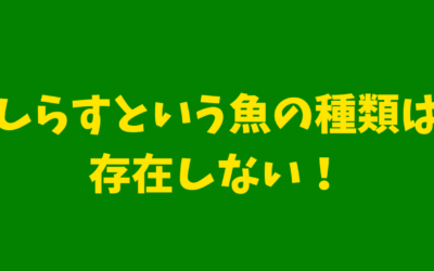 【イワシの稚魚】しらすという魚の種類は存在しない！