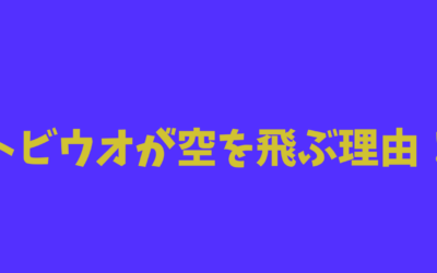 【完全版】トビウオが空を飛ぶ理由！