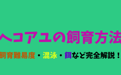 【ヘコアユ飼育】立って泳ぐ姿が不思議！