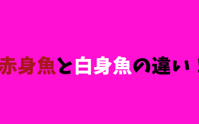 【わかりやすい！】赤身魚と白身魚の違い！