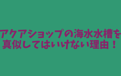 【初心者必見】アクアショップの海水水槽を真似してはいけない理由！