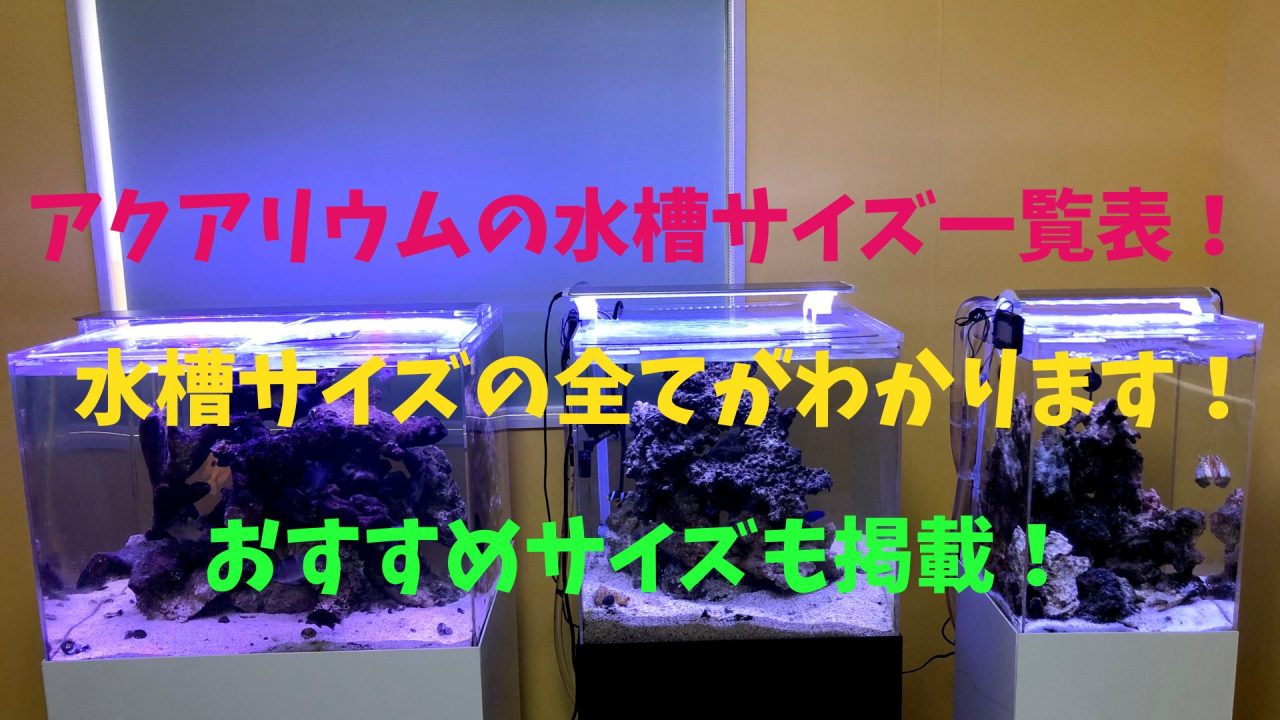 アクアリウムの水槽サイズ一覧表！水槽サイズの全てがわかります 