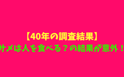 【40年の調査結果】サメは人を食べる？の結果が意外！