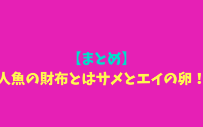 【まとめ】人魚の財布とはサメとエイの卵！