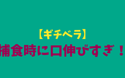 【ギチベラ】捕食時に口伸びすぎ！アイ～ンが愛おしい（笑）