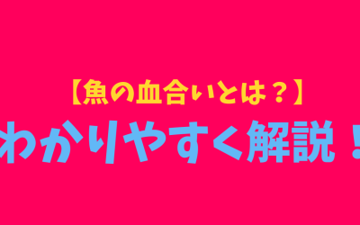 【魚の血合いとは？】わかりやすく解説！