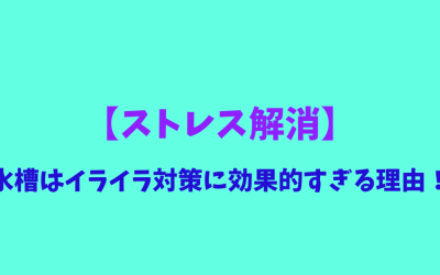 【ストレス解消】水槽はイライラ対策に効果的すぎる理由！