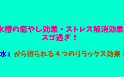 水槽の癒やし効果・ストレス解消効果スゴ過ぎ！『水』から得られる４つのリラックス効果！