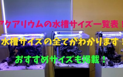 アクアリウムの水槽サイズ一覧表！水槽サイズの全てがわかります！おすすめサイズも掲載！