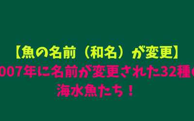 【魚の名前（和名）が変更】2007年に名前が変更された32種の海水魚たち！