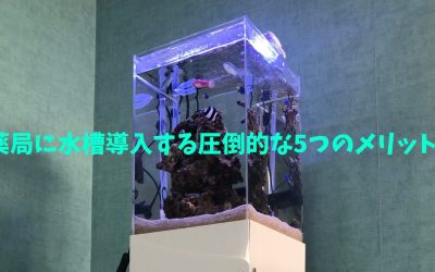 【レンタル】薬局に水槽導入する圧倒的な5つのメリット！