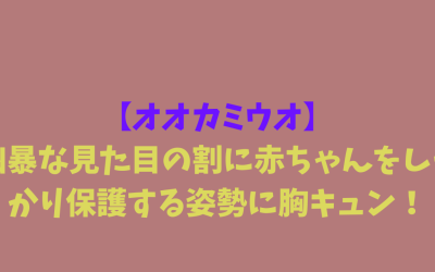 【オオカミウオ】凶暴な見た目の割に赤ちゃんをしっかり保護する姿勢に胸キュン！