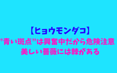 【ヒョウモンダコ】”青い斑点”は興奮中だから危険注意！美しい薔薇には棘がある