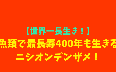 【世界一長生き！】魚類で最長寿400年も生きるニシオンデンザメ！