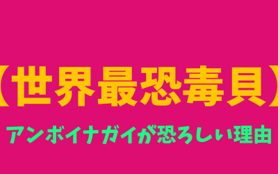 【世界最恐毒貝】アンボイナガイが恐ろしい理由