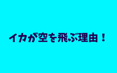 【完全版】イカが空を飛ぶ理由！