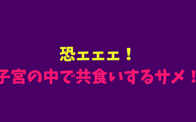 恐ェェェ！子宮の中で共食いするサメ！