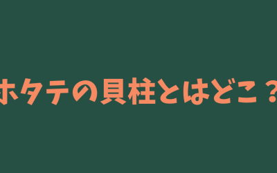 【わかりやすい！】ホタテの貝柱とはどこ？