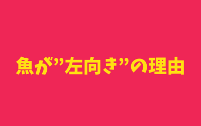 【なぜ？完全納得】魚が”左向き”の理由