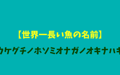 【世界一長い魚の名前】ウケグチノホソミオナガノオキナハギ