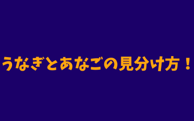 【わかりやすい】うなぎとあなごの見分け方！