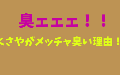 【保存版】”くさや”がメッチャ臭い理由！