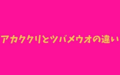 【わかりやすい】アカククリとツバメウオの違い