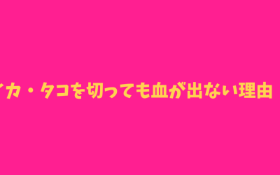 【なるほど】イカ・タコを切っても血が出ない理由！