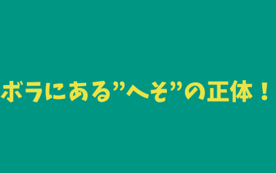 【魚にへそ！？】ボラにある”へそ”の正体！