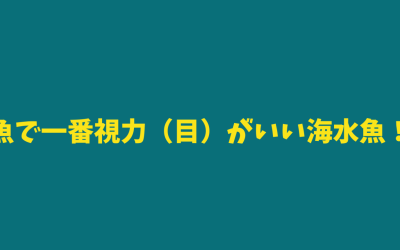 【完全版】魚で一番視力（目）がいい海水魚！