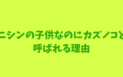 ニシンの子供なのにカズノコと呼ばれる理由