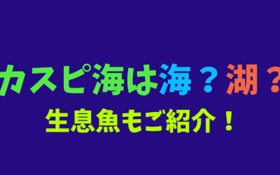 カスピ海は海？湖？生息魚もご紹介！