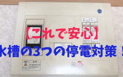 【これで安心】水槽の3つの停電対策！