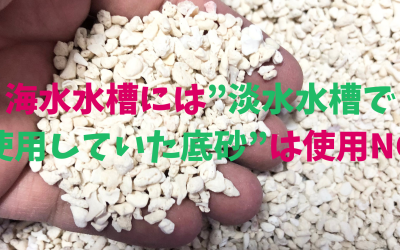 【使用NG】海水水槽には”淡水水槽で使用していた底砂”は使用してはいけない理由