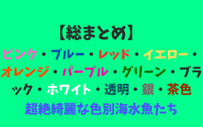 【総まとめ】超絶綺麗な色別海水魚たち！ピンク・ブルー・レッド・イエロー・オレンジ・パープル・グリーン・ブラック・ホワイト・透明・銀・茶色