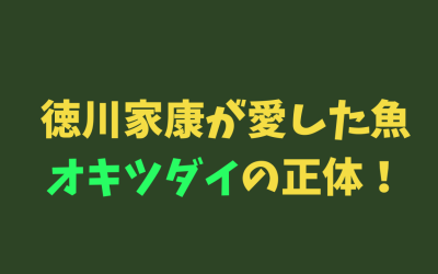 徳川家康が愛した魚【オキツダイ】の正体！