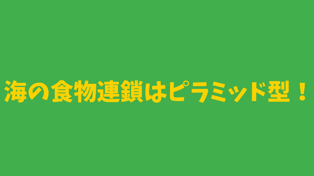 完全版】海の食物連鎖はピラミッド型！ – マリブ 水槽メンテナンス 